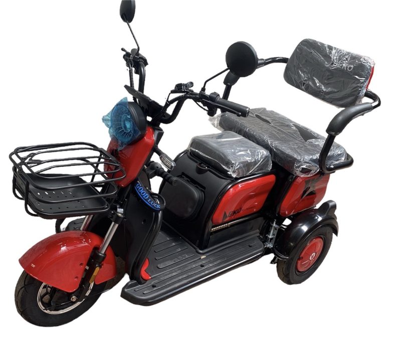 Triciclo de Pasajero Storm